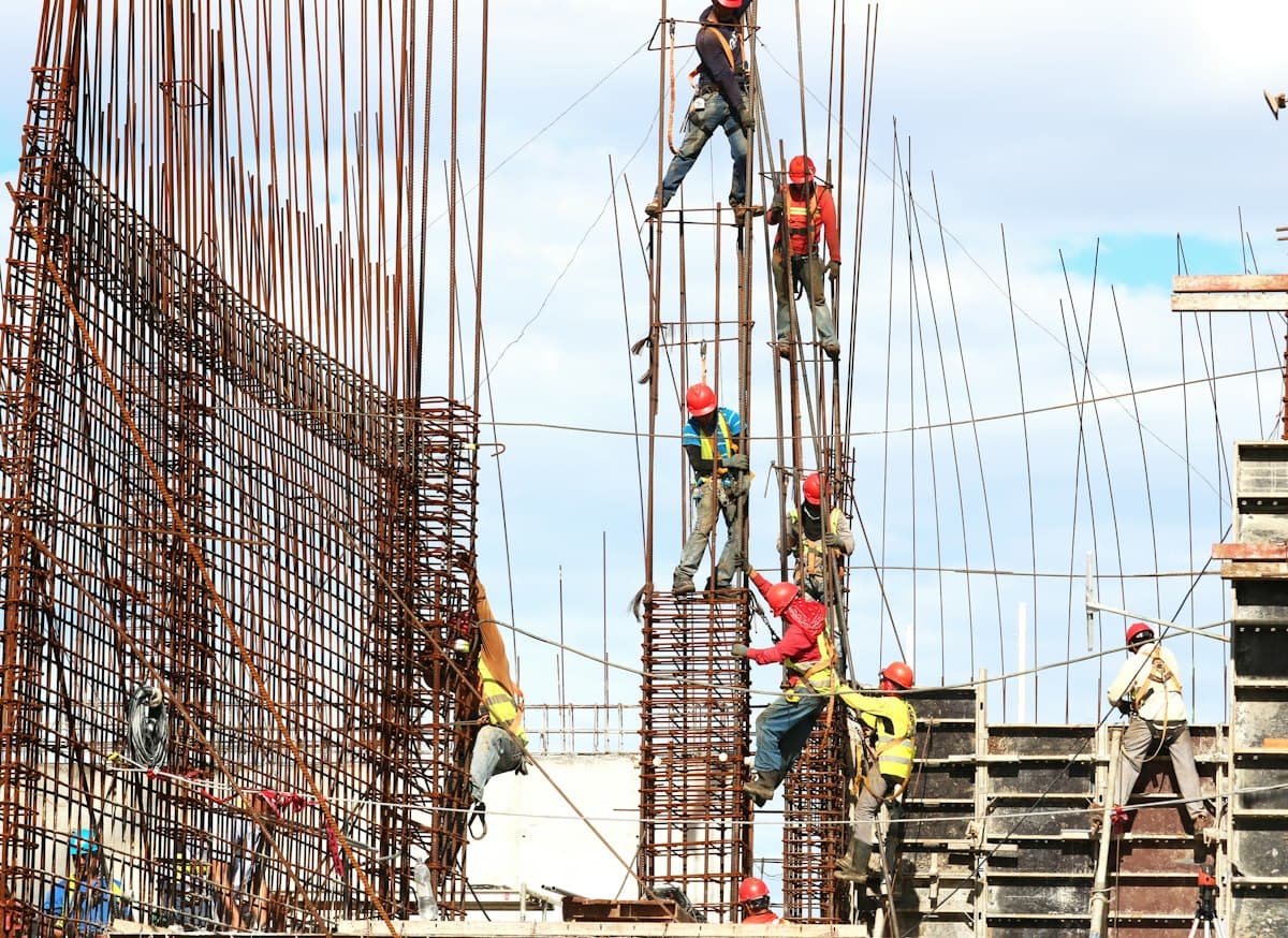 Projects Undertaken